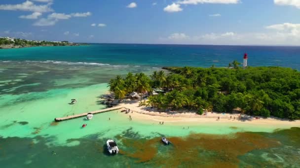 Wyspy Gwadelupy Gosier Latanie Lotnicze Tropikalna Plaża Morze Karaibskie — Wideo stockowe