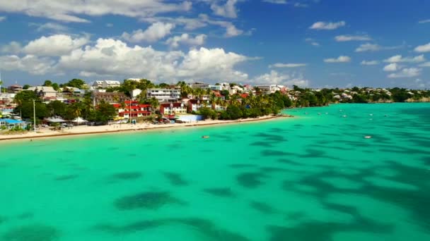 Guadeloupe Adaları Havadan Uçma Karayip Denizi Grande Terre Nanılmaz Manzara — Stok video