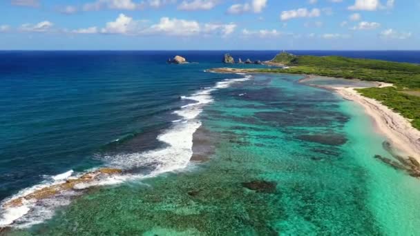 Ilhas Guadalupe Voar Aéreo Mar Caribe Paisagem Incrível Grande Terre — Vídeo de Stock