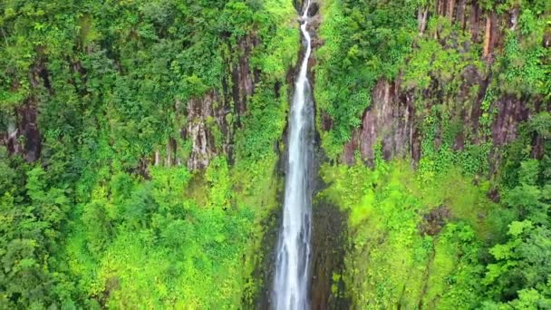 Carbet Falls Aerial Flying Capesterre Belle Eau Guadalupa — Video Stock