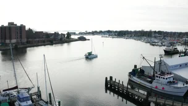 Hampton Virginia Salters Creek Aerial View Hampton River — Stock video