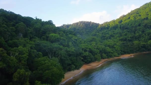 空中飞越印度洋海岸 美丽的风景 野生动物 野生生物 热带丛林 — 图库视频影像