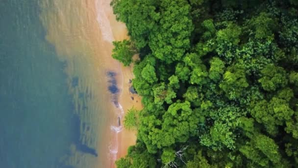 空中飞越印度洋海岸 热带丛林 野生动物 美丽的风景 野生动物 — 图库视频影像