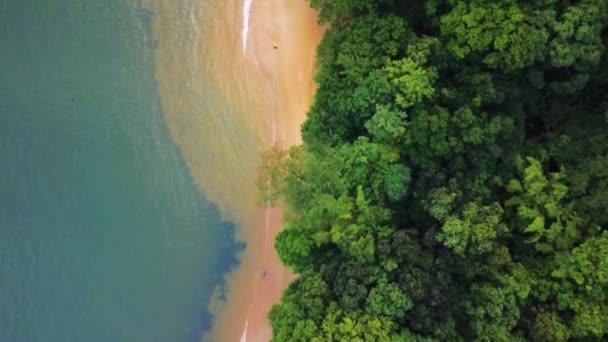 Voar Aéreo Sobre Costa Oceano Índico Selva Tropical Natureza Selvagem — Vídeo de Stock