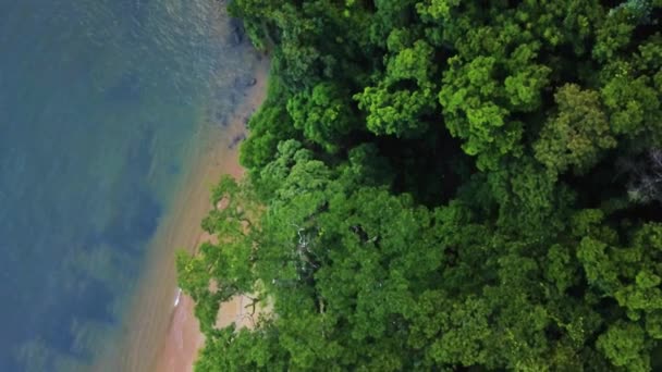 Vol Aérien Dessus Côte Océan Indien Jungle Tropicale Faune Nature — Video