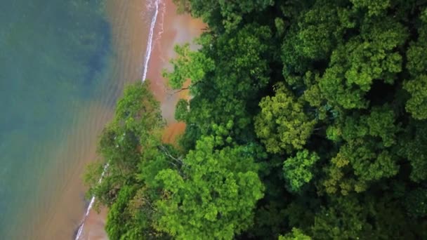 Luchtvaart Vliegen Indische Oceaan Kust Wilde Natuur Tropische Jungle Mooi — Stockvideo