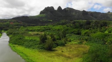 Hawaii, Havacılık Manzarası, Kauai, Hawaii Ormanı, Dağlar, Muhteşem Manzara