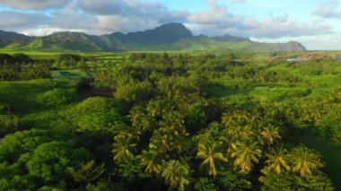 Hawaii, Havacılık, Dağlar, Hawaii Sahili, Kauai, Pasifik Okyanusu