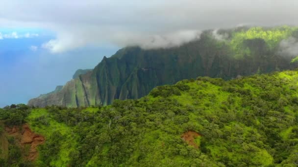 Havaí Vista Aérea Kauai Paisagem Incrível Montanhas Selva Havaiana — Vídeo de Stock