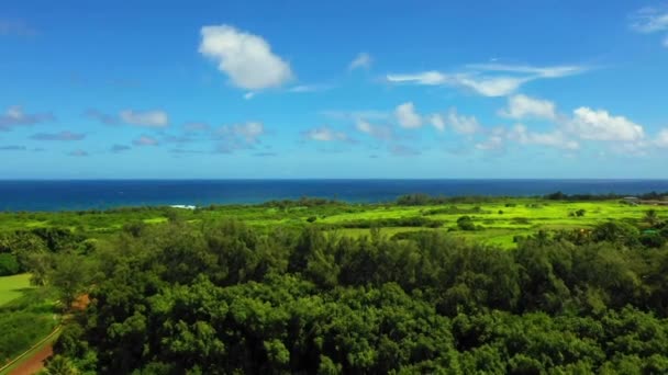 Hawaii Volare Aereo Kauai Paesaggio Fantastico Oceano Pacifico Giungla Hawaiana — Video Stock