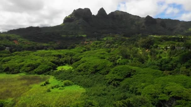 Hawaii Flygfoto Kauai Berg Hawaiian Jungle Fantastiskt Landskap — Stockvideo