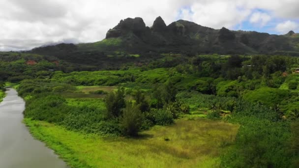 Havaí Vista Aérea Kauai Selva Havaiana Montanhas Paisagem Incrível — Vídeo de Stock