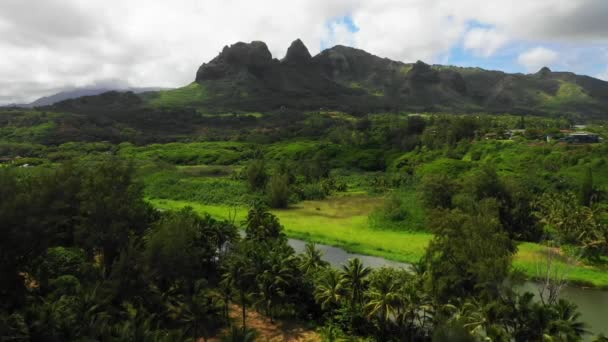 Havaj Letecký Pohled Kauai Havajská Džungle Úžasná Krajina Hory — Stock video
