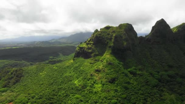 Hawaii Flygfoto Fantastiskt Landskap Kauai Berg Hawaiian Jungle — Stockvideo