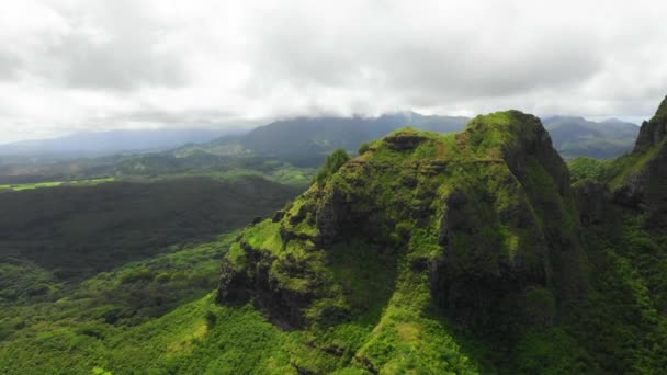 Havaj Letecký Pohled Úžasná Krajina Kauai Havajská Džungle Hory — Stock video