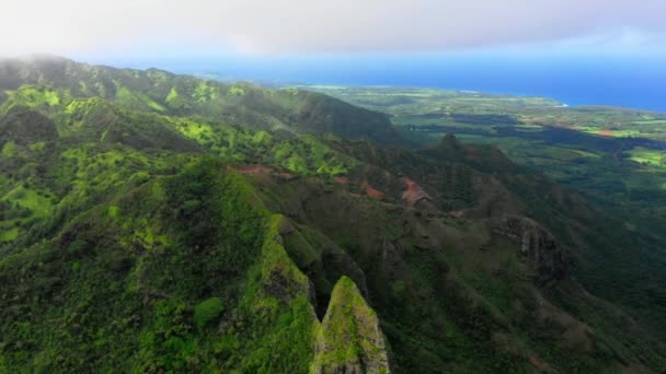 Hawaii Aerial Flying Kauai Hawaiian Jungle Montagne Oceano Pacifico — Video Stock