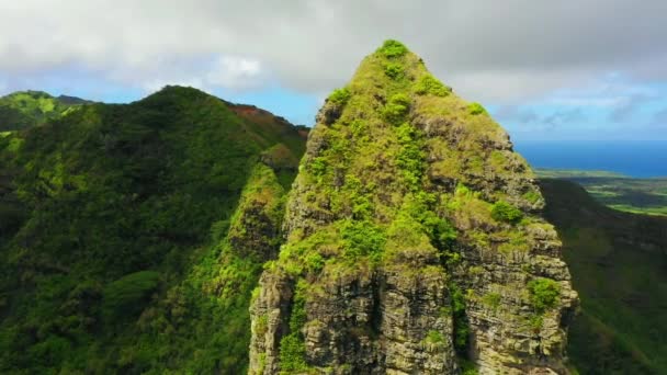 Hawaje Widok Powietrza Niesamowity Krajobraz Dżungla Hawajska Kauai Góry — Wideo stockowe