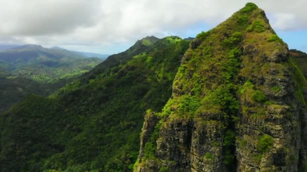 Havaj Letecký Pohled Úžasná Krajina Havajská Džungle Hory Kauai — Stock video