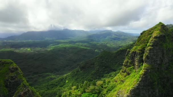 Hawaii Havacılık Manzarası Dağlar Kauai Nanılmaz Manzara Hawaii Ormanı — Stok video