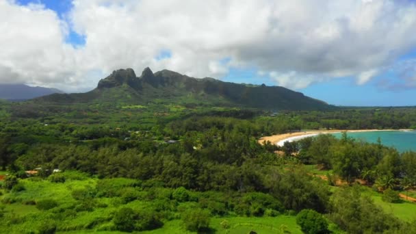Hawai Vuelo Aéreo Kauai Océano Pacífico Selva Hawaiana Montañas — Vídeo de stock