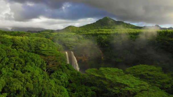 Hawai Kauai Wailua Falls Vista Aérea Selva Hawaiana Paisaje Increíble — Vídeos de Stock