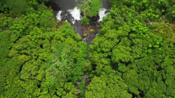 夏威夷 考艾岛 奥帕卡瀑布 顶部景观 空中景观 夏威夷丛林 — 图库视频影像