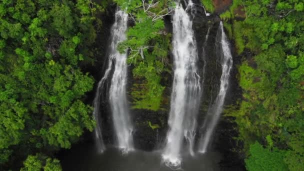 Hawai Kauai Opaekaa Falls Vista Aérea Paisaje Increíble Selva Hawaiana — Vídeos de Stock
