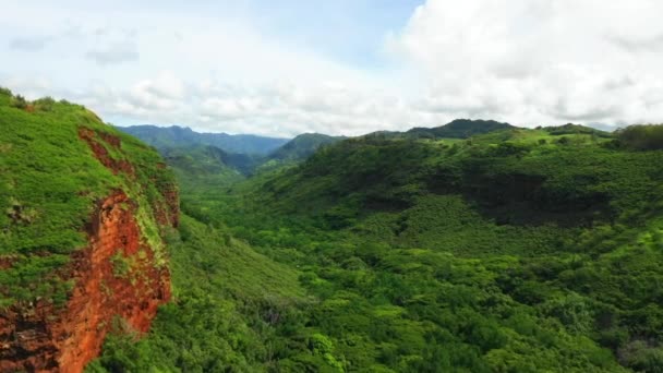 Havaj Letecký Výhled Hory Kauai Havajská Džungle Úžasná Krajina — Stock video