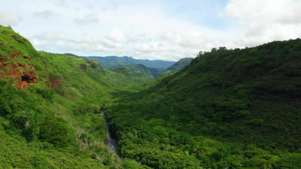 Hawai Vista Aérea Montañas Paisaje Increíble Kauai Selva Hawaiana — Vídeos de Stock