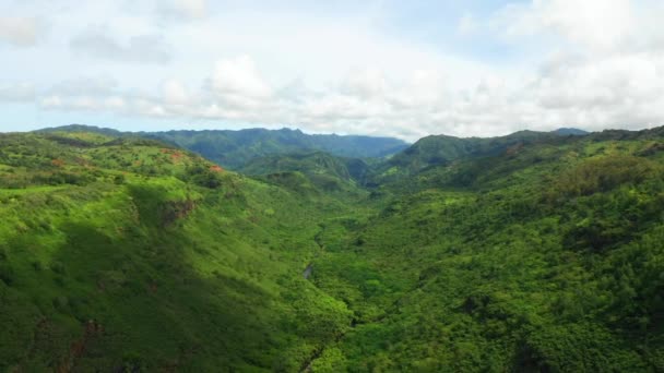 Hawaje Widok Powietrza Góry Hawajska Dżungla Niesamowity Krajobraz Kauai — Wideo stockowe