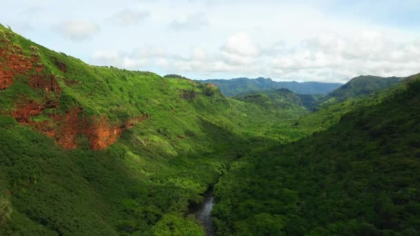 Havaí Vista Aérea Montanhas Paisagem Incrível Selva Havaiana Kauai — Vídeo de Stock