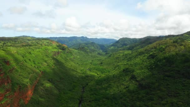 Hawai Vista Aérea Montañas Selva Hawaiana Kauai Paisaje Increíble — Vídeos de Stock