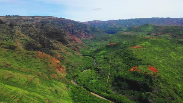 Hawaii Uitzicht Lucht Hawaïaanse Jungle Kauai Mountain River Amazing Landscape — Stockvideo
