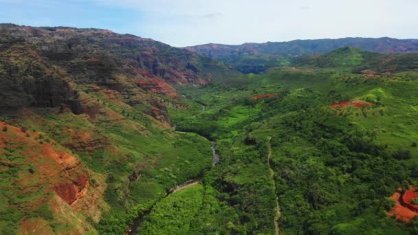 Havaj Letecký Pohled Havajská Džungle Kauai Úžasná Krajina Horská Řeka — Stock video