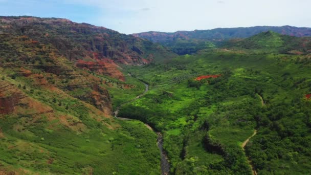 Hawaii Luftaufnahme Hawaiianischer Dschungel Erstaunliche Landschaft Kauai Gebirgsfluss — Stockvideo