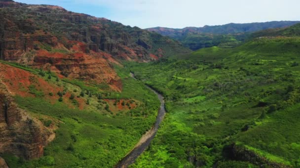 Hawaii Uitzicht Lucht Hawaïaanse Jungle Mountain River Kauai Amazing Landscape — Stockvideo