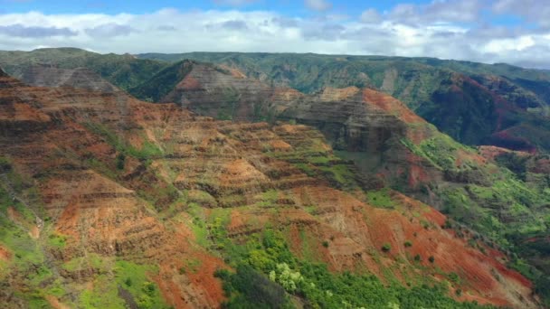 Hawaii Montagne Vista Aerea Giungla Hawaiana Kauai Paesaggio Fantastico — Video Stock