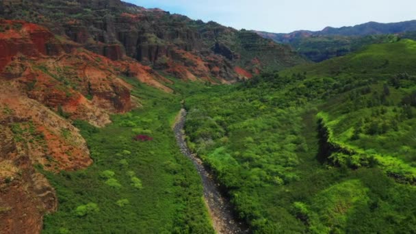 Hawaii Uitzicht Lucht Kauai Hawaïaanse Jungle Mountain River Amazing Landscape — Stockvideo