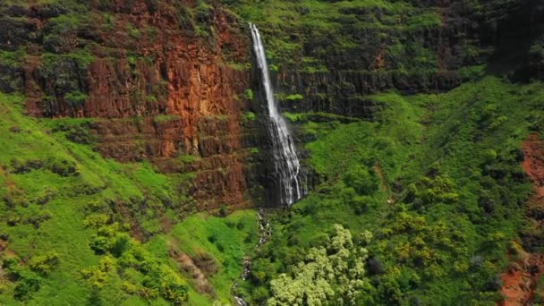 Hawai Kauai Waipoo Falls Vista Aérea Paisaje Increíble Selva Hawaiana — Vídeo de stock