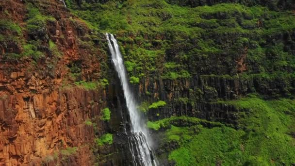 Hawai Kauai Waipoo Falls Selva Hawaiana Paisaje Increíble Vista Aérea — Vídeos de Stock