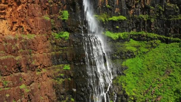 夏威夷 威波瀑布 考艾岛 夏威夷丛林 空中景观 迷人的风景 — 图库视频影像