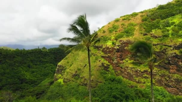 Hawaii Kauai Flygfoto Hawaiian Jungle Berg Fantastiskt Landskap — Stockvideo
