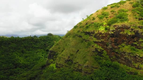 Hawai Kauai Vista Aérea Selva Hawaiana Paisaje Asombroso Montañas — Vídeos de Stock