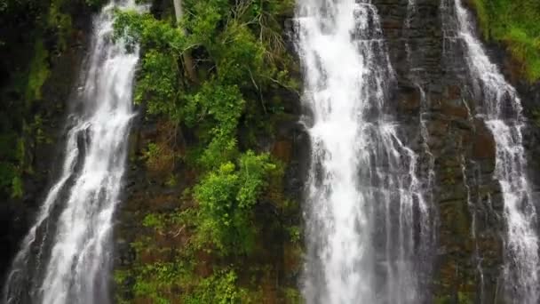 Hawaii Kauai Opaekaa Falls Hawaiianischer Dschungel Atemberaubende Landschaft Luftaufnahme — Stockvideo