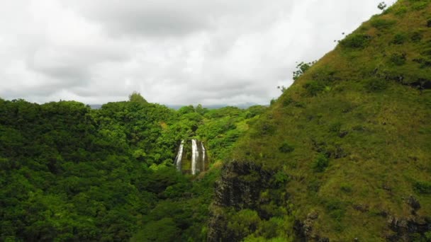 Havaj Kauai Opaekaa Falls Havajská Džungle Letecký Pohled Úžasná Krajina — Stock video
