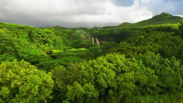 Hawaii Kauai Wailua Falls Hawaïaanse Jungle Uitzicht Lucht Amazing Landschap — Stockvideo