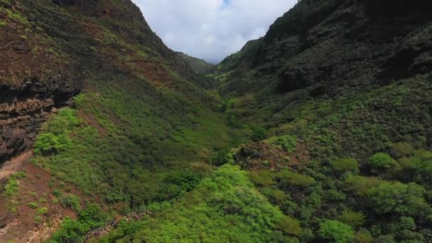 Hawaje Widok Lotu Ptaka Kanion Górski Kauai Niesamowity Krajobraz Hawajska — Wideo stockowe