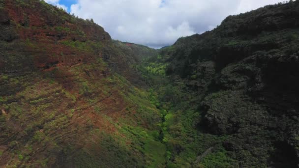 Havaí Vista Aérea Desfiladeiro Montanha Kauai Selva Havaiana Paisagem Incrível — Vídeo de Stock