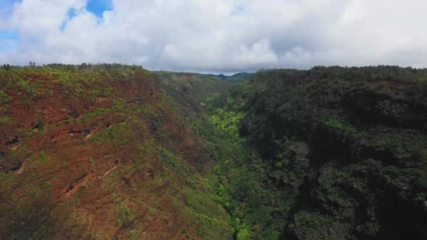 Hawaii Havacılık Manzarası Dağ Kanyonu Nanılmaz Manzara Kauai Hawaii Ormanı — Stok video