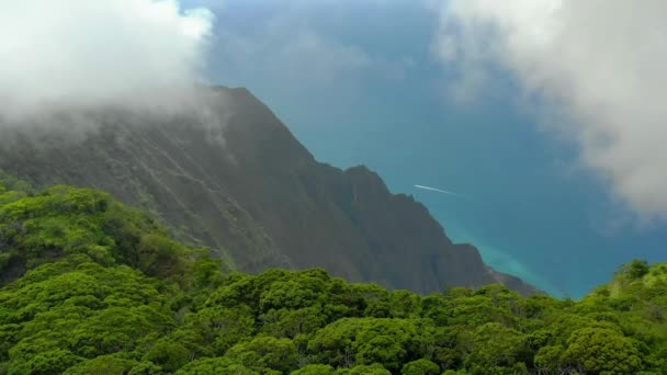 Hawaii Aerial Flying Kauai Oceano Pacifico Montagne Giungla Hawaiana — Video Stock